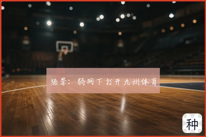 场景:弱网下打开九州体育
